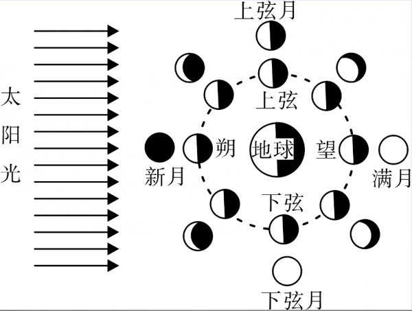 "人有悲欢离合,月有阴晴圆缺,圆缺就是指"月相变化,即地球上看到